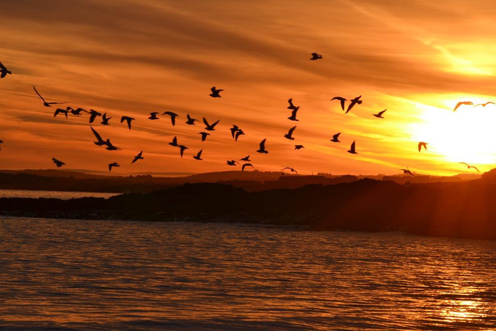 Doonbeg Holiday Cottages Holiday home *
